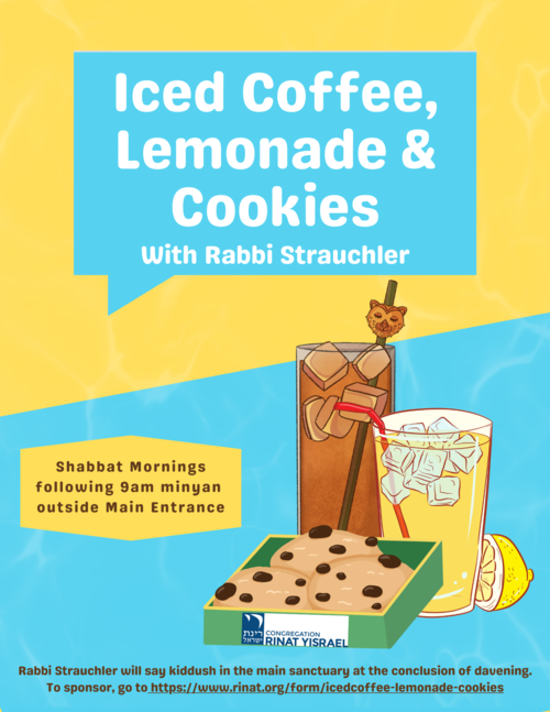		                                </a>
		                                		                                
		                                		                            		                            		                            <a href="https://www.rinat.org/form/icedcoffee-lemonade-cookies" class="slider_link"
		                            	target="">
		                            	To sponsor, click here		                            </a>
		                            		                            